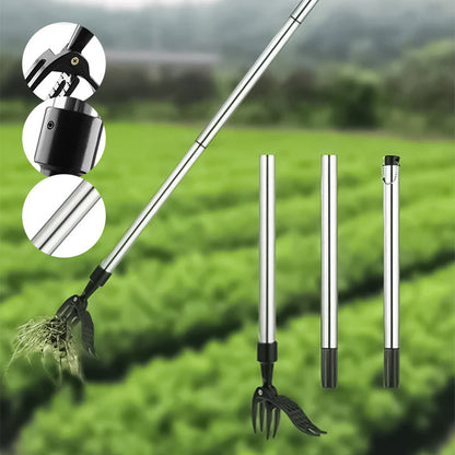 FloraFixer | Transform your garden into an oasis!
